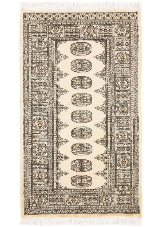 Pakistan Bokhara 2ply Rug